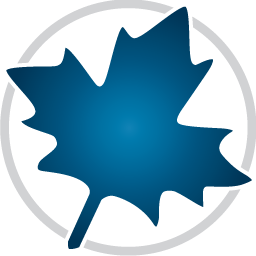 Maple数学软件下载安装